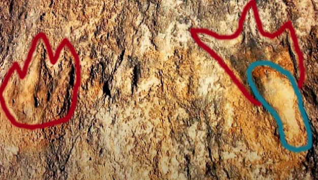 Main image for page: Programserie om Bibeln och Evolution på TV7