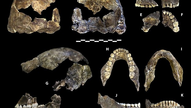 Main image for page: Homo naledi: Människa eller mediamyt?