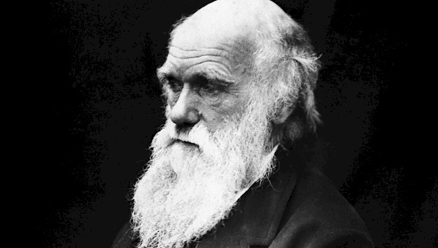 Main image for page: Darwinismens falska evangelium