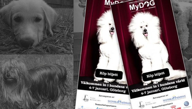 Main image for page: Utställningen MyDOG väcker frågor om selektion och evolution