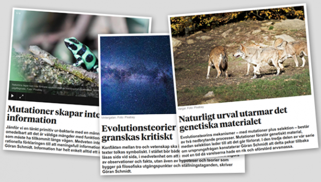 Main image for page: Genesis i granskande artikelserie om evolutionsteorin i Världen Idag