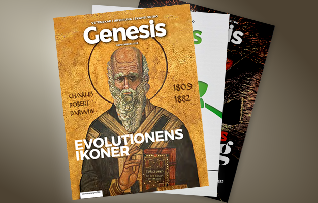 Main image for page: Genesis Nr 3 2020 ute!