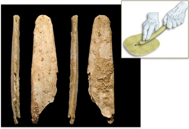 Main image for page: Neandertalarnas verktyg fortfarande i bruk