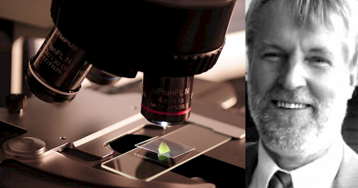 Den pseudovetenskapliga teorin om evolutionen | Föreningen Genesis