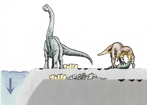 Stora dinosaurier var uppenbarligen bra på att komma undan vattnet och bredde kortvarigt ut sig igen då vattnet tillfälligtvis sjönk undan, men tillgången på mat kan inte ha varit stor.