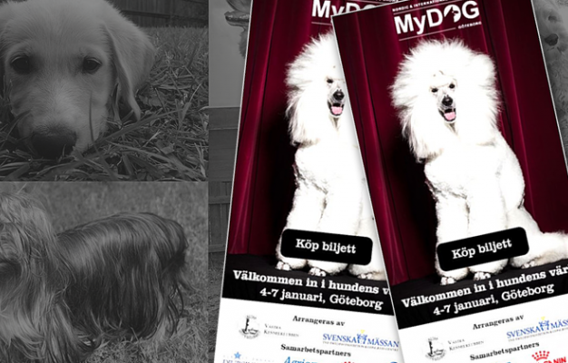 Main image for page: Utställningen MyDOG väcker frågor om selektion och evolution