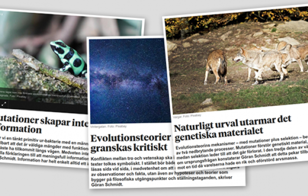 Main image for page: Genesis i granskande artikelserie om evolutionsteorin i Världen Idag