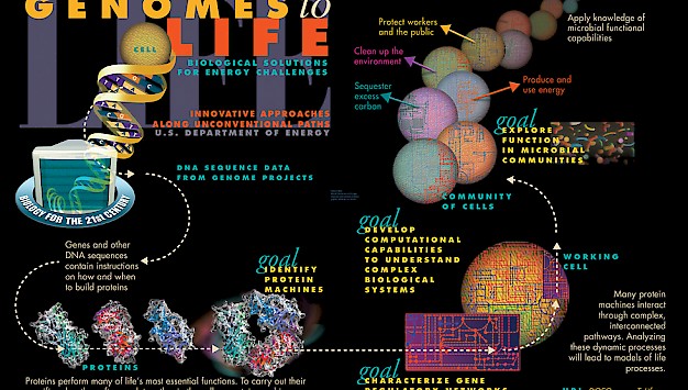 Main image for page: Systembiologi