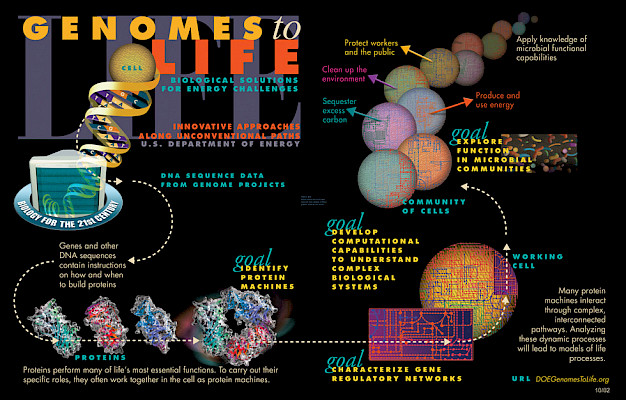 Main image for page: Systembiologi