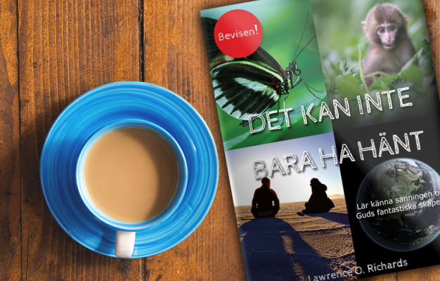 Main image for page: Bokrecension: Det kan inte bara ha hänt