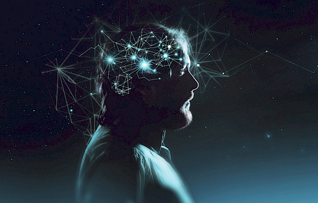 Main image for page: Hjärnans neurala nätverk anpassade att förstå universum enligt nya rön