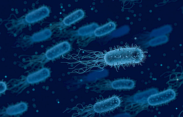 Main image for page: Antibiotikaresistens - pågående evolution?