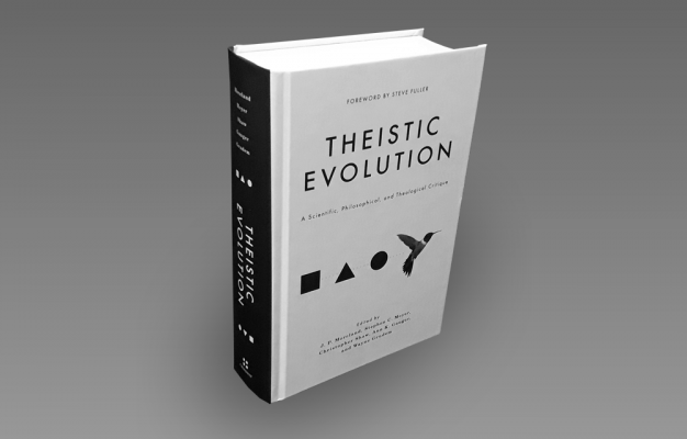 Main image for page: Bokrecension: Theistic Evolution