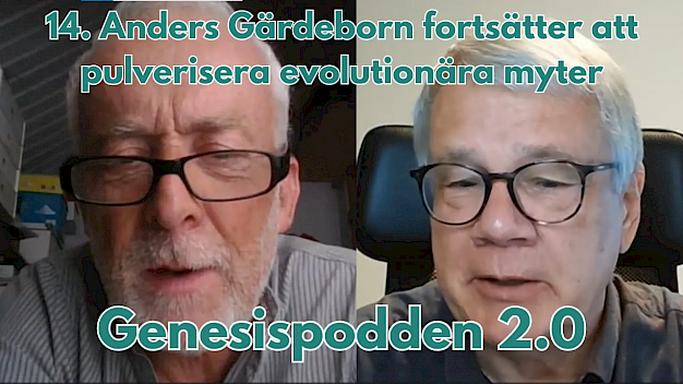 Main image for page: Video: Genesispodden 2.0 #14: Anders Gärdeborn fortsätter pulverisera evolutionära myter