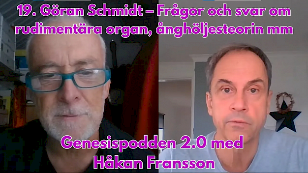Main image for page: Video: Genesispodden 2.0 #19: Göran Schmidt – Frågor och svar om rudimentära organ, ånghöljesteorin mm