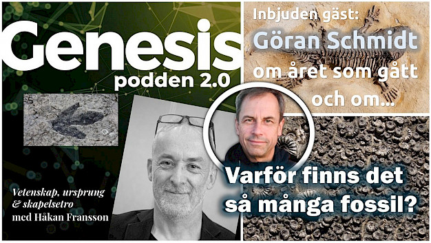 Main image for page: Video: Genesispodden 2.0 avsnitt 21 - Varför finns det så många fossil?