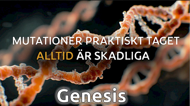 Main image for page: Video: Evolutionens största kris någonsin