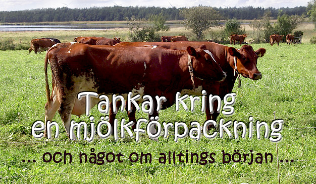Main image for page: Någonstans börjar det